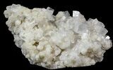 Apophyllite Crystals on Prehnite with Gyrolite - India #44362-2